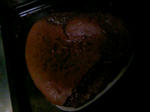 110214_vd.JPG