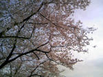 110410_160237.JPG