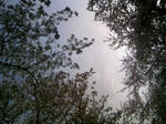 110410_160425.JPG