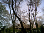 110410_160542.JPG
