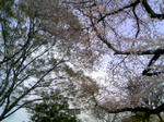 110410_160631.JPG