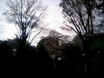 110410_160901.JPG