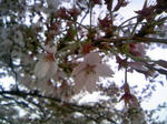 110410_161023.JPG