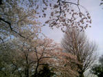 110410_161658.JPG