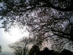 110410_161714.JPG