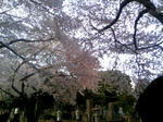 110410_163122.JPG