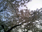 110410_165651.JPG