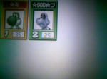 110423_212239.JPG