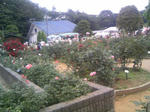 110605_123445.JPG