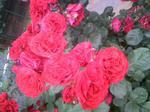 110605_153010.JPG