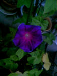 100820_050048.JPG