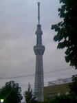 110827_181624.JPG