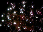 110827_194808.JPG