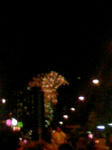 110827_195716.JPG