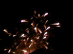 110827_201131.JPG
