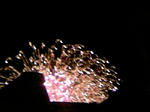 110827_202638.JPG