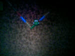 110904_000757.JPG