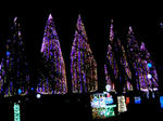 111221_210339.JPG