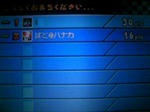 111230_000302.JPG
