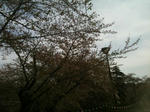 IMG_0169-30.JPG