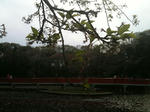 IMG_0174-30.JPG
