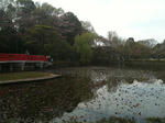 IMG_0178-30.JPG
