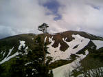 120504_130021.JPG