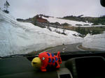 120504_130405.JPG