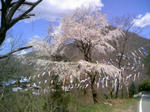 120505_130114.JPG