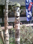120505_131942.JPG
