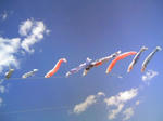120505_144455.JPG