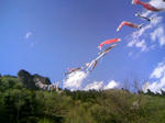 120505_144508.JPG