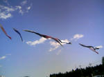 120505_144606.JPG