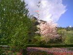 120505_153304.JPG