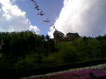120505_153927.JPG