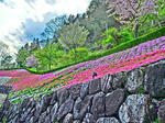 CIMG0928-15.JPG