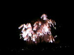 121013_190900.JPG