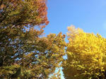 IMG_0006-15.JPG