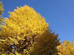 IMG_0002-15.JPG