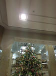 IMG_0007-15.JPG