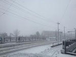 IMG_0104-15.JPG