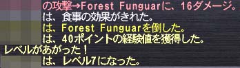 7へ