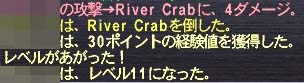 11へ