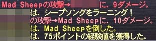 @シープソング