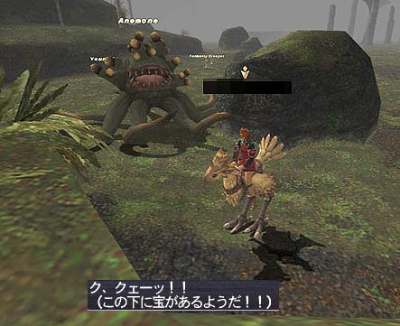 箱発見!しかし