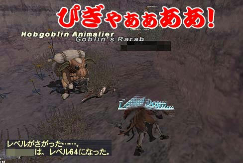 レベルダウン！