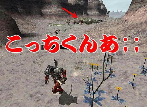 逃げ！