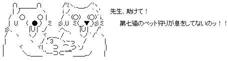 クマAA