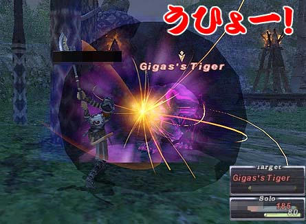 ２度目のスチサイ