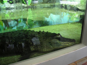 DSCN2161.JPG